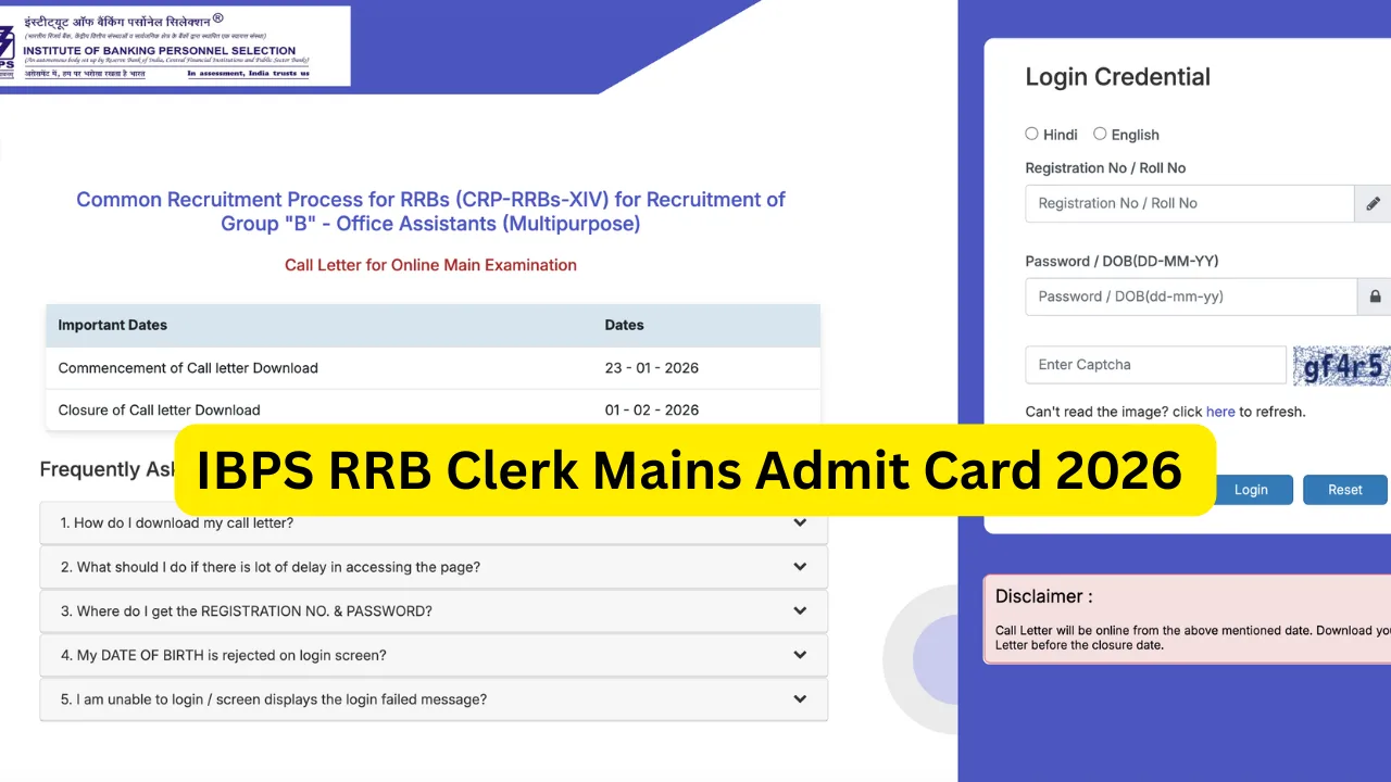 IBPS RRB Clerk Mains Admit Card 2026