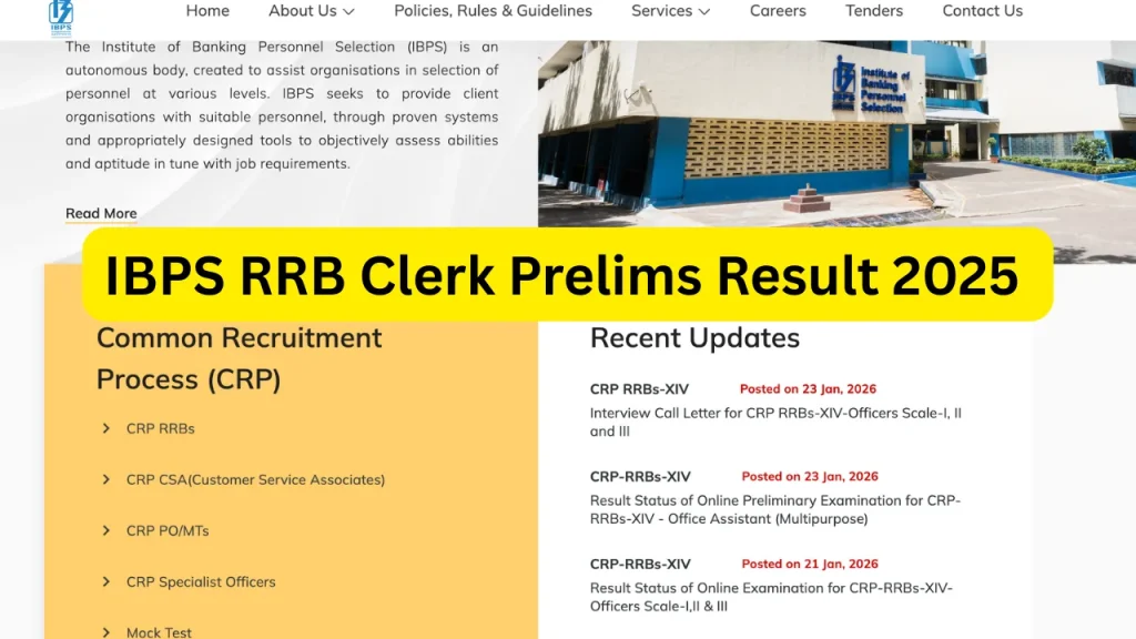 IBPS RRB Clerk Prelims Result 2025