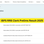 IBPS RRB Clerk Prelims Result 2025