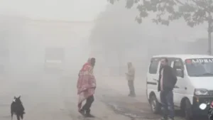 Makar Sankranti 2026 Weather Update: Cold Wave to Continue Across North India