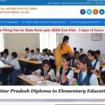 UP DElEd Merit List 2025