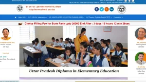 UP DElEd Merit List 2025 Released: State Rank & Counselling Schedule